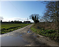 Driveway to poultry unit