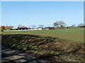 Dwellings as backdrop to winter cereal crop