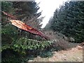 ND1453 : Fallen Spruce, Achlachan Moss by David Bremner