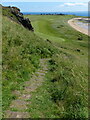 NT4799 : Fife Coastal Path descending towards Earlsferry Bay by Mat Fascione