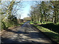 East Ruston Road near Moat Farm