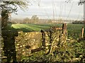 Stone Stile nr Lower Southmead Farm, Bisley GS1040