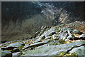NR9941 : Slope to Glen Rosa from Goatfell by Julian Paren