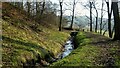 Rochdale Canal Feed in Whittaker Wood