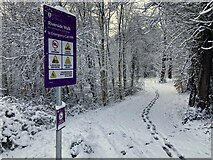 H4772 : Snow along the Highway to Health path, Cranny by Kenneth  Allen