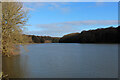 Waterloo Lake in Roundhay Park