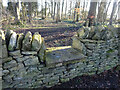 Stone Stile, Elkstone