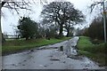 Track in Wellpond Green