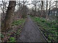 Path in Woodfield Park, Kingsbury