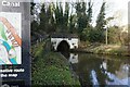 Trent & Mersey Canal at bridge #203, Saltersford Tunnel