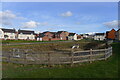 SuDS retention pond, Poppyfields housing development, Barrow-upon-Soar