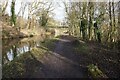 Trent & Mersey Canal towards bridge #200