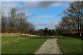 Footpath in Primrose Valley Local Nature Reserve