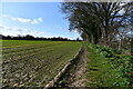 Middleton: Public footpath at the side of a field where a crop is doing well