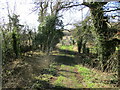 Bridleway to Brooke