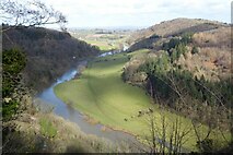 SO5616 : The Wye valley by Philip Halling