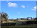 Barn Field