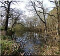 Pond, Parrock Lane