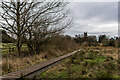 Posh Path, Two Saints Way, Wybunbury Moss