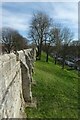 SE5951 : City walls above Nunnery Lane by DS Pugh