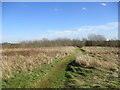 Bridleway at Gunthorpe