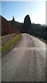 Whitland Abbey Ruins