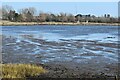 Northeastern shore of Holes Bay