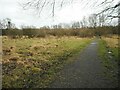 Path in Merkland Nature Reserve