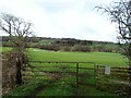 Field gate beside the railway walk