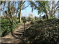 Path leading up from the Cuckoo Trail