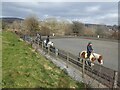 Equestrian training, Green Meadow Riding Centre