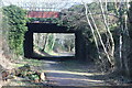 Bridge over Afon Lwyd Trail, NCR 492