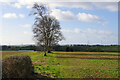 Farmland north of West Haddon