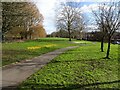 Crocuses Path