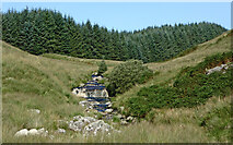 SN7454 : Afon Doethie Fawr near Blaendoethie in Ceredigion by Roger  Kidd