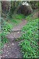 Footpath, Dartmouth