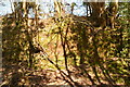 Sandstone outcrop, Bewl Bridge Lane