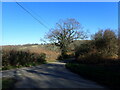 View from Hammer Lane near Warbleton