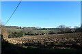 View from a lane near Warbleton