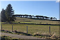 Fields at Bothwellseat