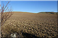 Ploughed Field near Shanquhar