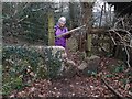 Stone Stile Top of Sheepscombe Common to wood GS1003