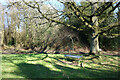 Diamond Jubilee Bench