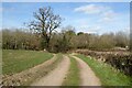 Farmland track and footpath