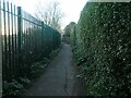 High fences and hedges on  Newington footpath