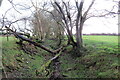 Hen heol las esgeulusedig / Old neglected green road