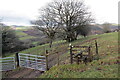 Llwybr ger Fergwm / Path near Fergwm