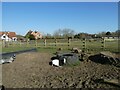 A lovely afternoon at West Wight Alpacas (F)