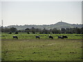 ST5144 : Hay Moor and the Tor by Neil Owen
