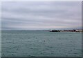 TQ3103 : View from Brighton Palace Pier by Lauren